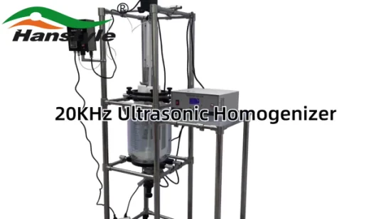 20-kHz-Ultraschall-Homogenisator-Misch-Dispersionsmaschine mit hoher Extraktionsrate in kurzer Zeit